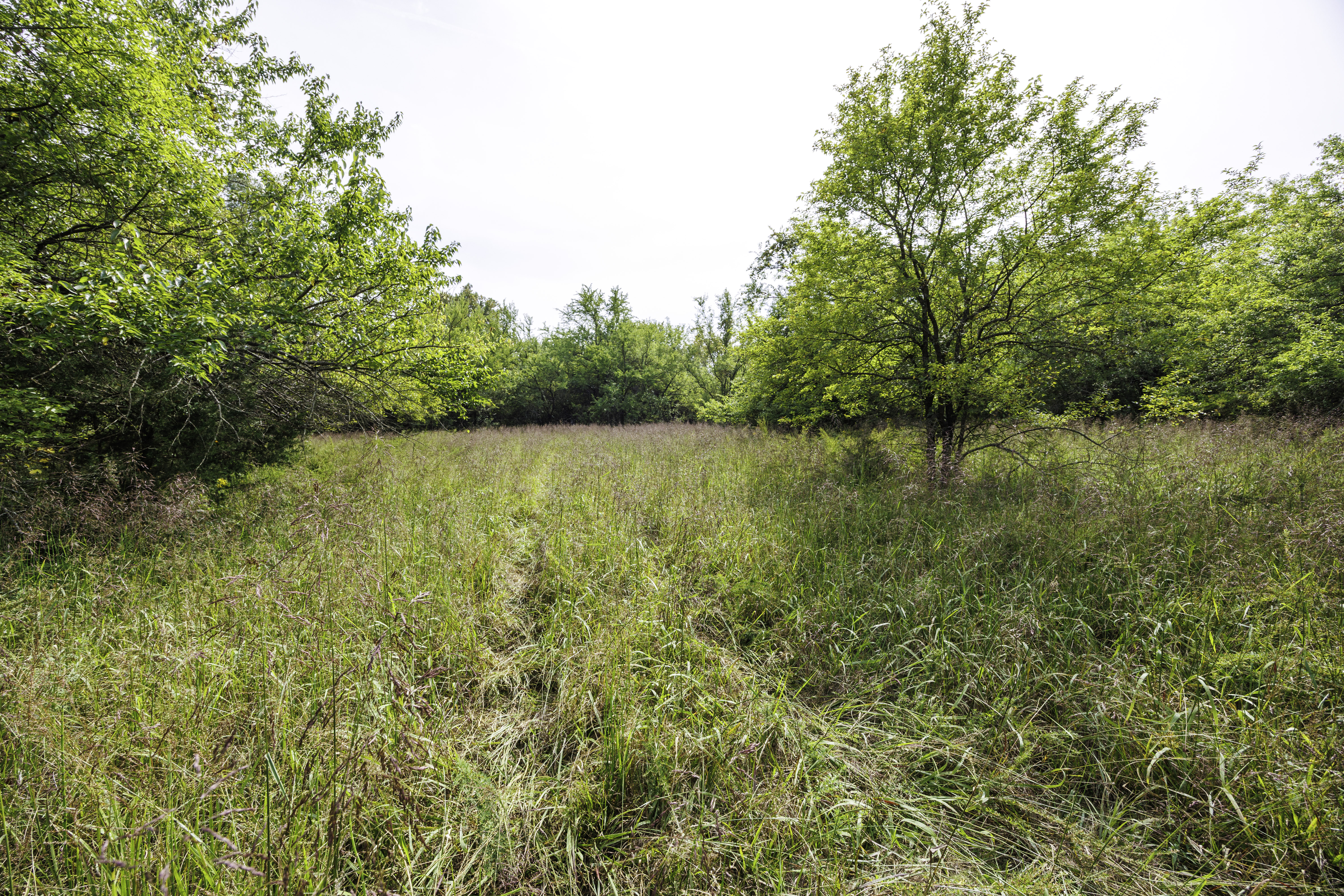 Kansas land sold at auction