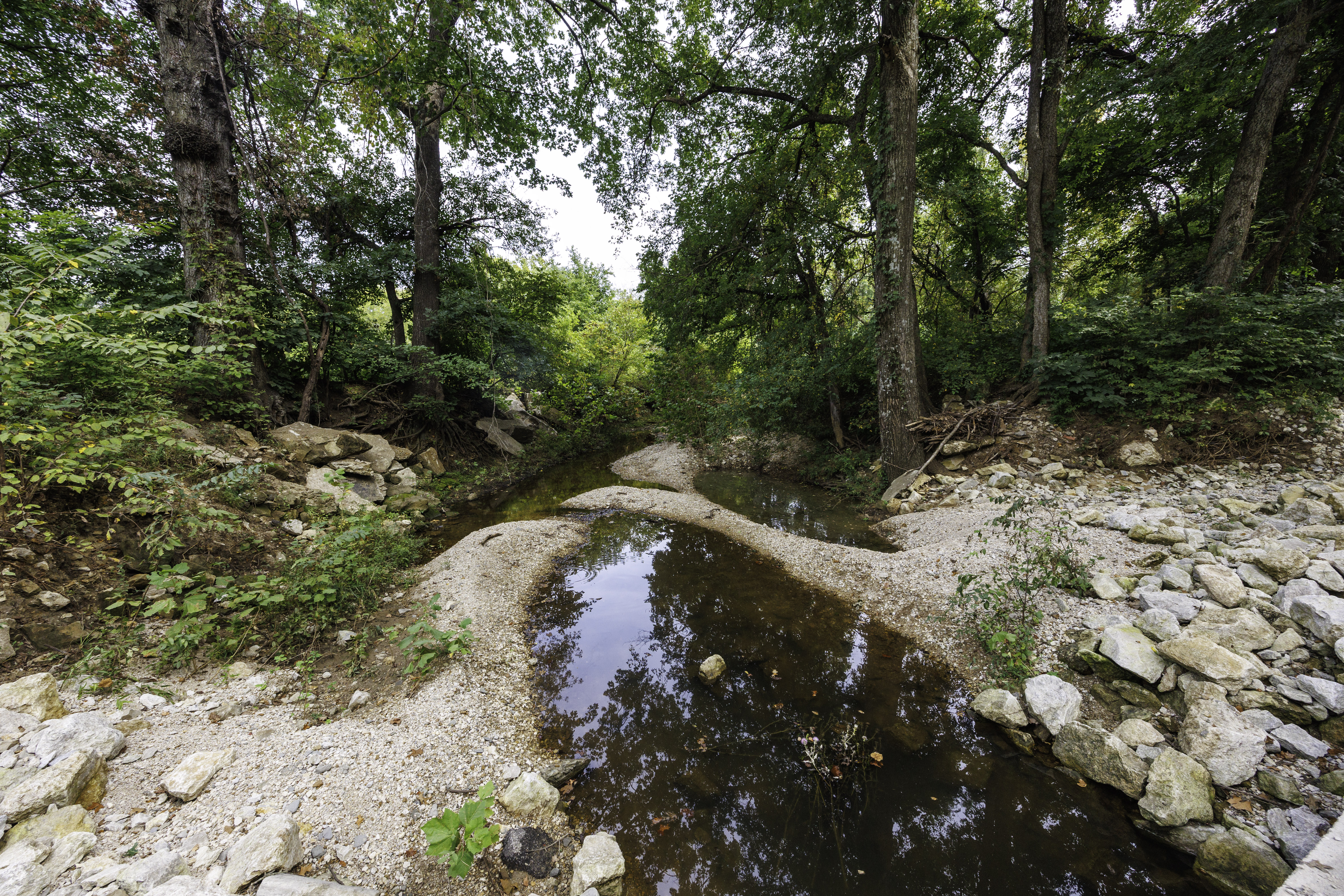 Kansas land auction property